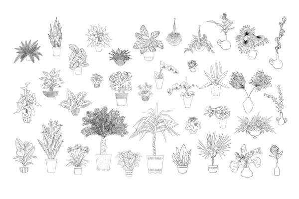 Conjunto de varias plantas de casas tropicales monocromas en maceteros. Arte de línea negra. — Archivo Imágenes Vectoriales