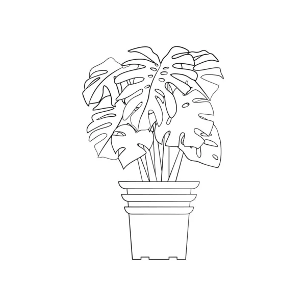 Line Art schwarze tropische Topfhauspflanze Monstera isoliert auf weißem Hintergrund. — Stockvektor