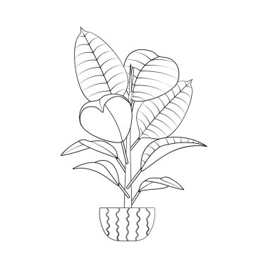 Çizgi sanatı siyah tropikal ev bitkisi inciri beyaz arka planda izole edilmiş..