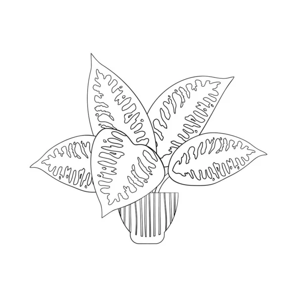 Ligne art noir tropical pot maison plante dieffenbachia isolé sur fond blanc. — Image vectorielle