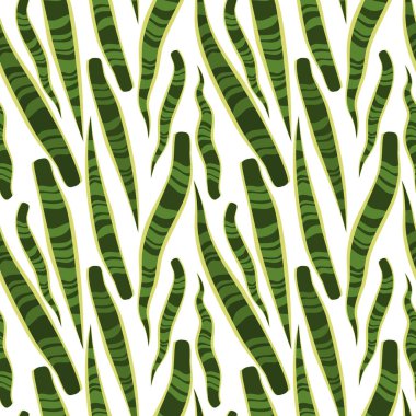 Basit asgari yeşil yılan bitkisi tropikal bir iz bırakır. Beyaz arkaplan.