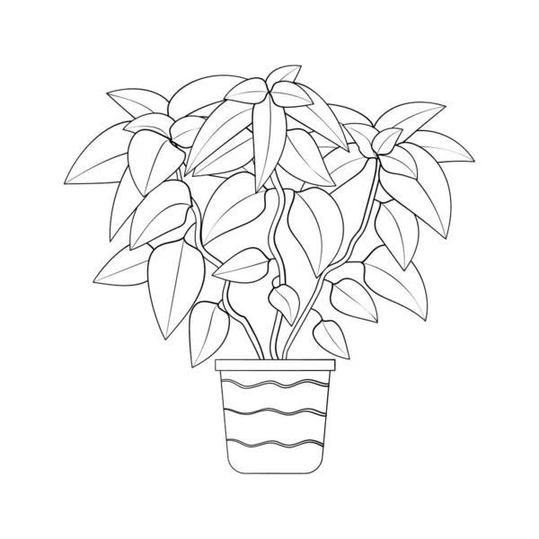 Línea de arte negro tropical maceta casa planta poinsettia aislado sobre fondo blanco. — Vector de stock