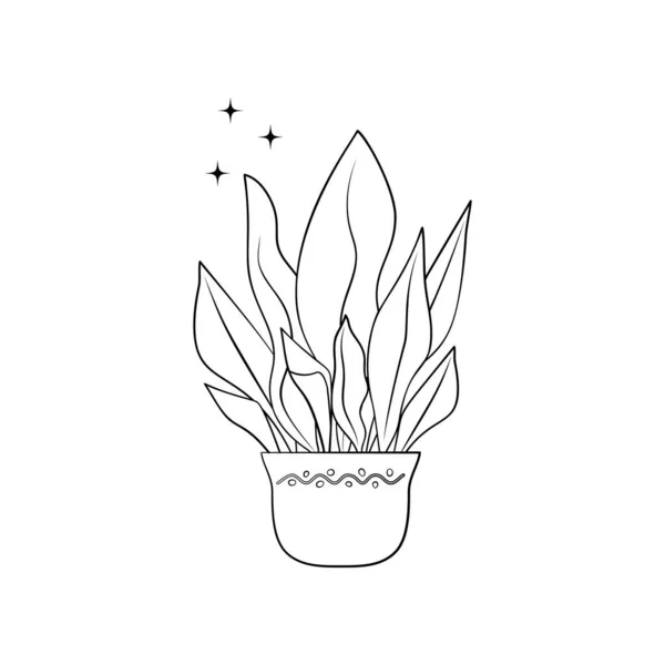 Línea de arte negro tropical maceta casa planta aspidistra aislado sobre fondo blanco — Vector de stock