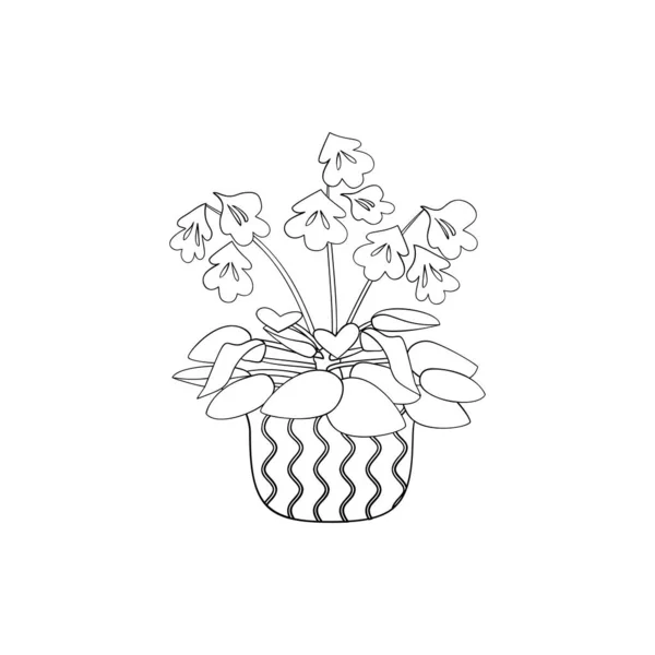 Line art black tropical potted house plant chirita isolated on white background. — Wektor stockowy