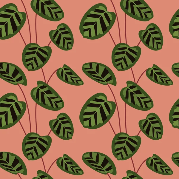 Simple calatea verde mínimo deja patrón tropical sin costuras. Fondo rosa. Follaje de selva plana textura moderna. — Vector de stock