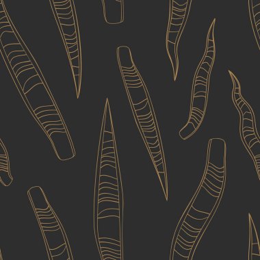 Tropikal yılan bitkisi altın çizgiler çizer..