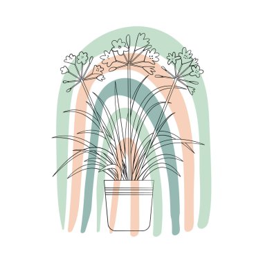 Çizgi sanatı siyah tropikal ev bitkisi agapanthus renkli soyut boho şekilli arka plan.