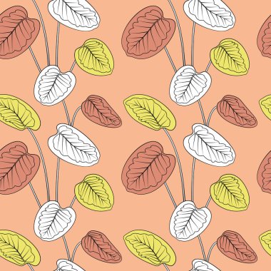 Tropikal renkli kalathea siyah çizgiler çizerek iz bırakır. Pembe arkaplan.