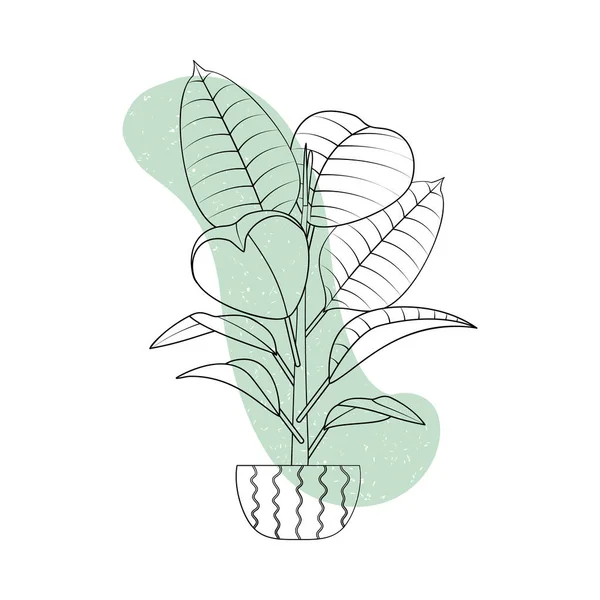 Line Art schwarz tropischen Topfhaus Ficus Palme mit bunten abstrakten Boho-Form Hintergrund — Stockvektor