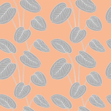 Tropikal gri kalathea beyaz çizgiler çizerek iz bırakır. Pembe pastel arka plan.