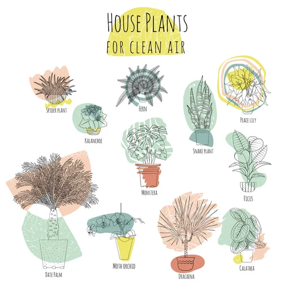 Kleurrijke set van diverse potplanten voor schone lucht. Abstracte vormen op de achtergrond — Stockvector