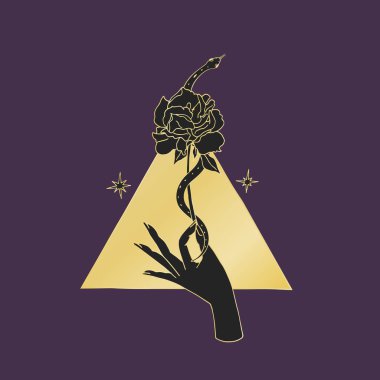 Çiçeğin etrafına bir yılan dolanmış ve arka planda üçgen olan klasik mistik bir el gülü.