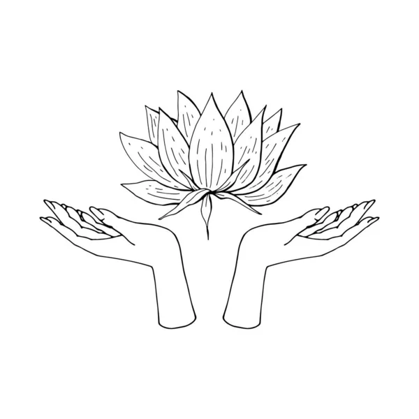 Ilustración boho vintage de la mano femenina sosteniendo loto. — Vector de stock