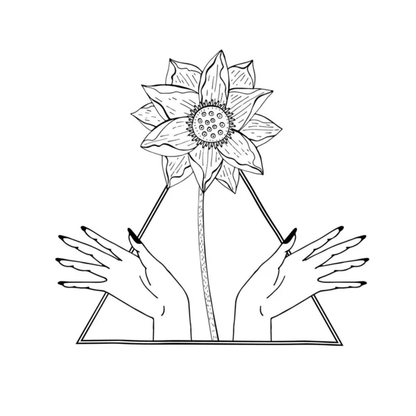Vintage Mystiska händer och lotusblomma inuti triangeln — Stock vektor