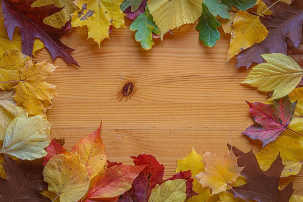 Flat lay drewniany stół tło z jesiennych liści ramki — Zdjęcie stockowe