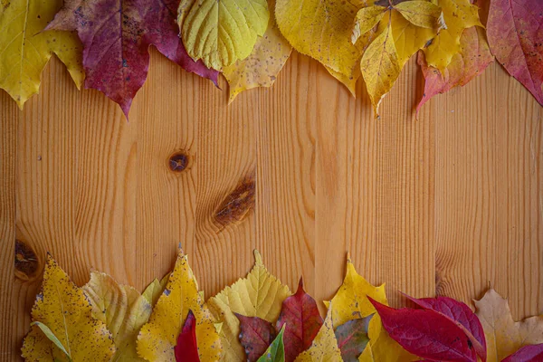 Plano leigos mesa de madeira fundo com folhas de outono quadro — Fotografia de Stock