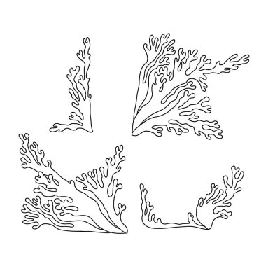 El çizimi monokrom soyut deniz yosunu veya mercan vektör çizimi. Klasik siyah-beyaz çizgili okyanus bitkisi tasarımı.