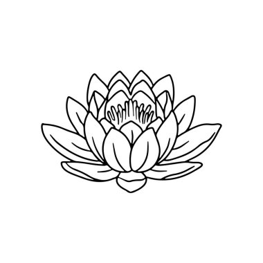 El çizimi siyah ve beyaz nilüfer çiçeği çizgisi çizimi beyaz arka planda izole edilmiş. Su zambağı tek renkli karalama klişesi