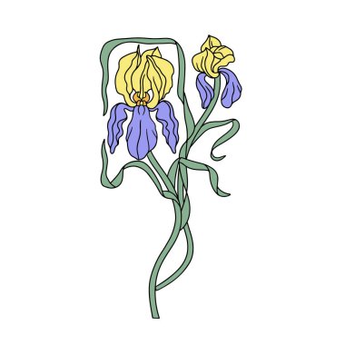 Klasik sanat eseri yeni moda modern el sarı ve mor zambak tokası sanatı. Çizgi sanatı botanik element vektör çizimi