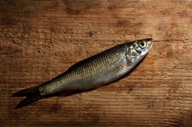 Kırmızı yüzgeçli ve gümüş pullu nehir balığı ahşap masada yatar. Seçici odak