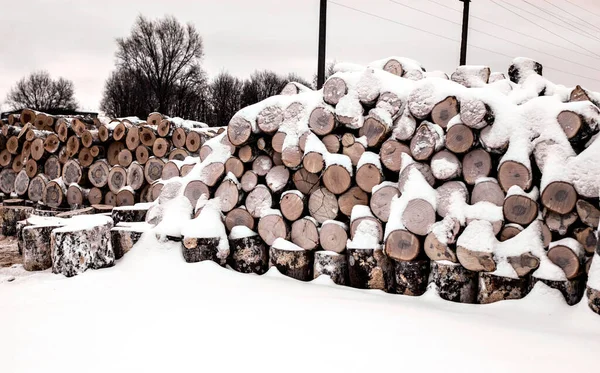 A rönkökbe vágott fát fehér hóra rakják. — Stock Fotó