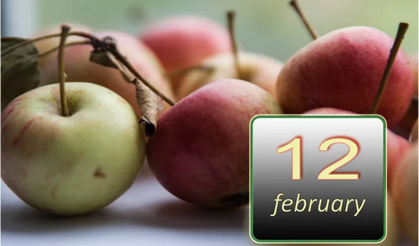 12 Şubat, ayın 12 'si. Elma. Her gün ihtiyacın olan vitaminler. Kış ayı. Yılın Günü konsepti. Seçici odak