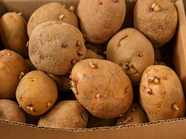 Karton kutuda lahanası olan kahverengi patates çubukları..
