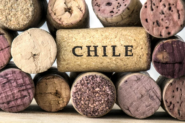 チリのワインのボトルのコルク栓 — ストック写真
