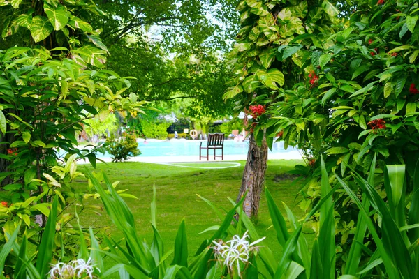 Tuin Met Zwembad Houten Fauteuil Het Centrum — Stockfoto