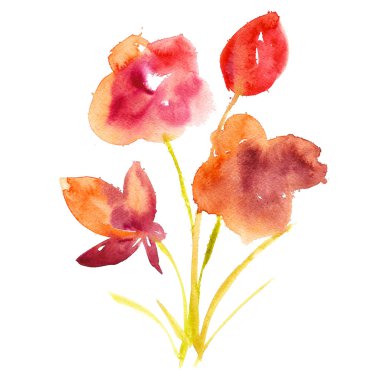 suluboya çiçek çerçeve