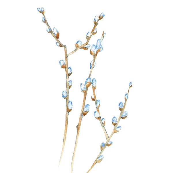 A kézzel festett virágzó willow corner — Stock Fotó