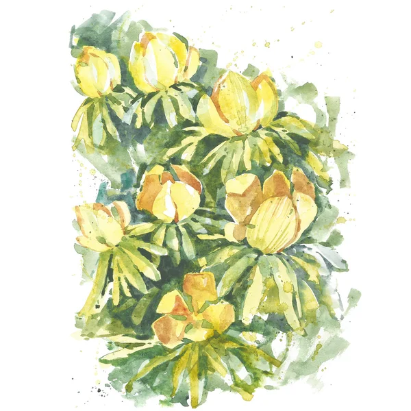 La flor de acuarela pintada a mano —  Fotos de Stock
