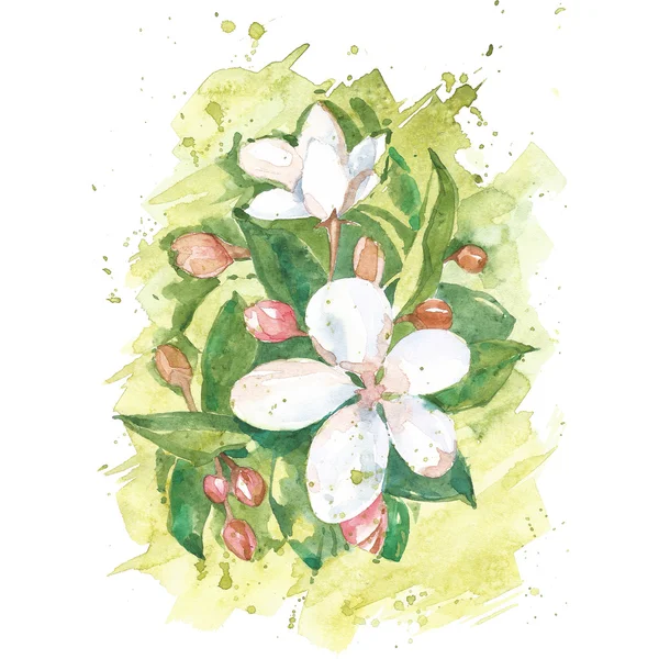 A kézzel festett akvarell virág — Stock Fotó