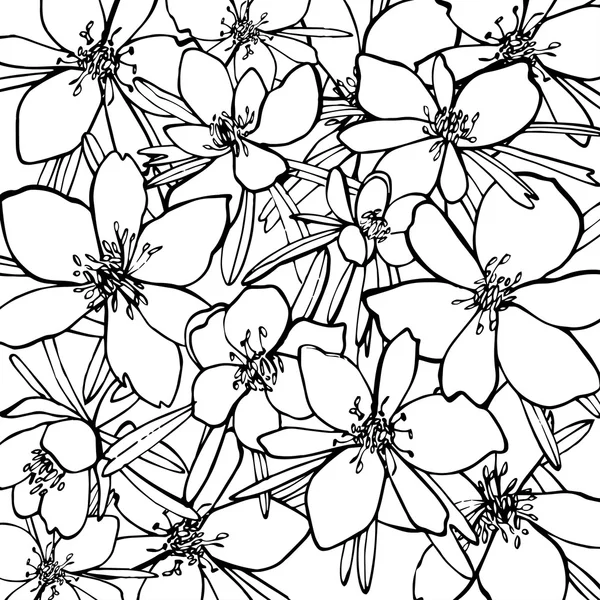 Collection of Hand Drawn Flowers — Stock Photo, Image