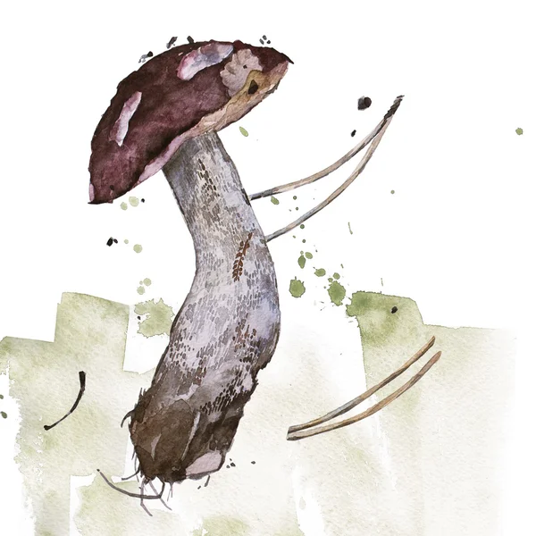 Ilustração a aquarela de um cogumelo . — Fotografia de Stock