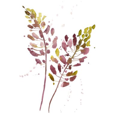 Çiçekler beyaz arka plan üzerine suluboya