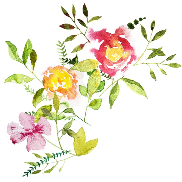 Blumen Aquarell Illustration. — Stockfoto