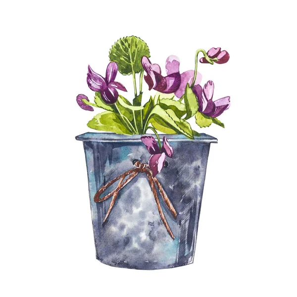 Acuarela flores violetas en maceta. Dibuja ilustraciones de acuarela a mano sobre fondo blanco. Colección Pascua. — Foto de Stock
