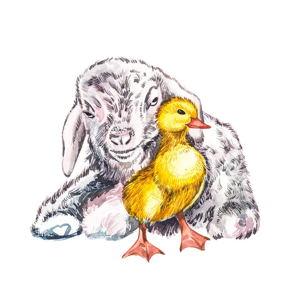 Duckling and goat watercolor illustration. Easter set. Hand painted card with traditional symbols isolated on white background. — Stock Photo, Image