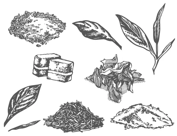 Set de tinta dibujada a mano infusor de té ilustración. Ilustración dibujada a mano vectorial. Ceremonia del té. — Vector de stock