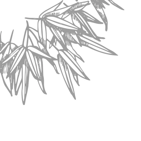 Bambú en estilo chino. Aislado sobre fondo blanco. Elemento decorativo dibujado a mano. Ilustración vectorial. — Vector de stock