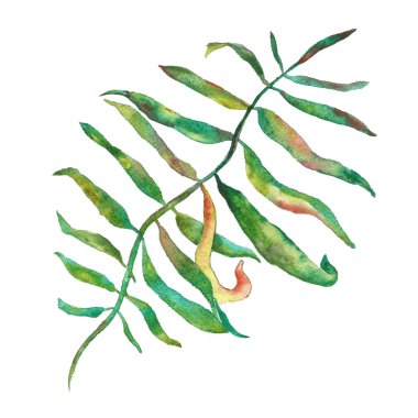 Suluboya buket çiçek