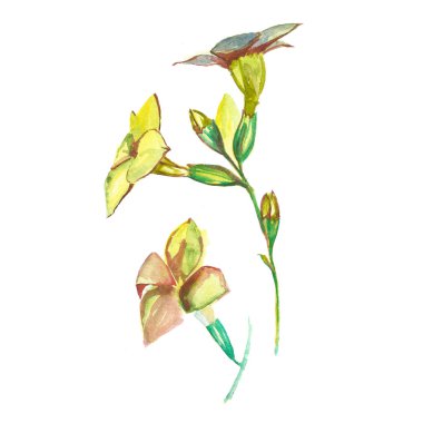 Suluboya çiçek yeşil