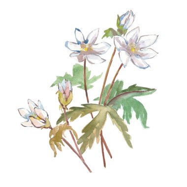 Beyaz sulu boya çiçekler