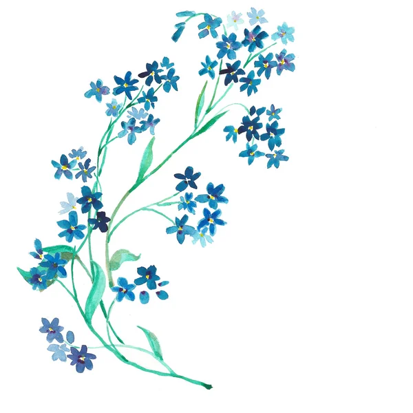 Aquarell Blumen blau — Stockfoto