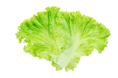 Marul. Salata yaprağı kırpma yolu ile beyaz arkaplanda izole
