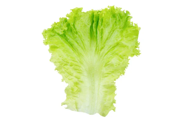 Sla Maar Saladeblad Geïsoleerd Witte Achtergrond Met Knippad — Stockfoto