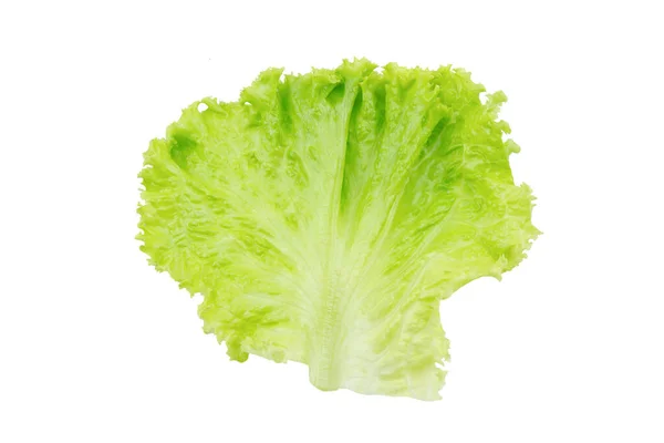 Sla Maar Saladeblad Geïsoleerd Witte Achtergrond Met Knippad — Stockfoto