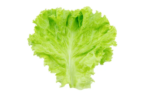 Lettuce Salad Leaf Isolated White Background Clipping Path — Stock Photo, Image