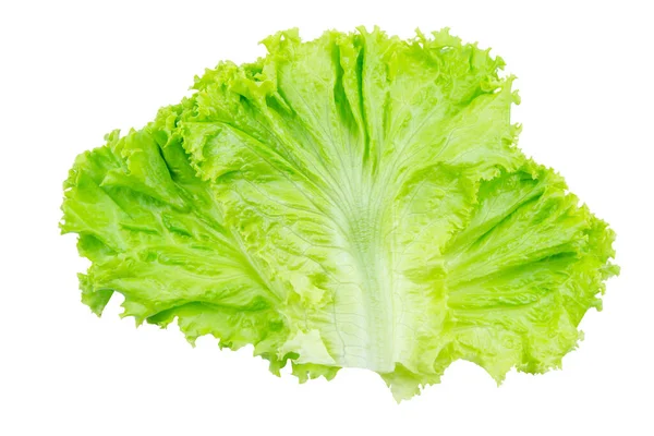 Salat Salatblatt Isoliert Auf Weißem Hintergrund Mit Schneideweg — Stockfoto